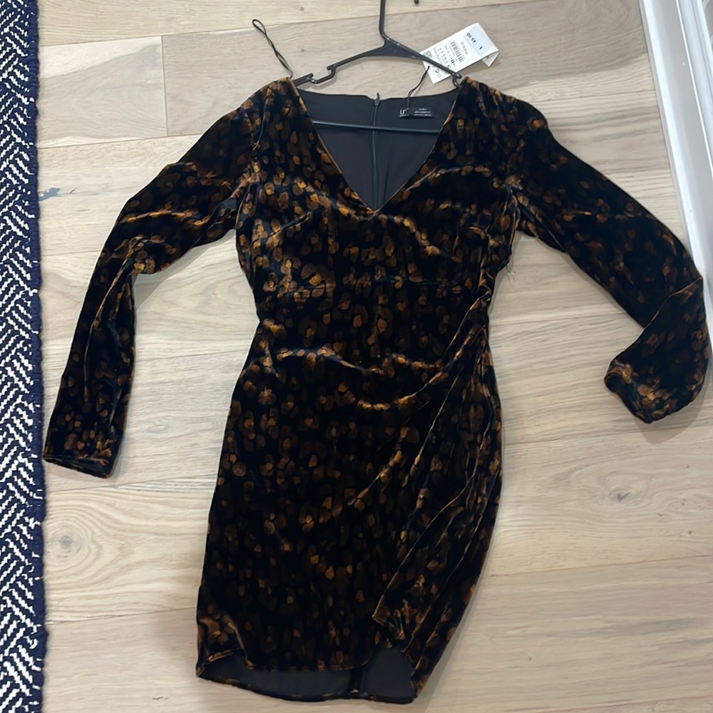 Zara Printed Velvet Dress